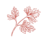 fond-persil-rouge fond-persil-rouge